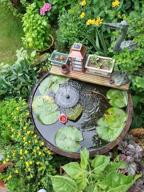 Unique Balcony Ideas, Container Water Gardens, Garden Fertilizer, Pond Design, Fish Pond, Ponds Backyard, Love Garden, Diy Garden Projects, Plant Mom