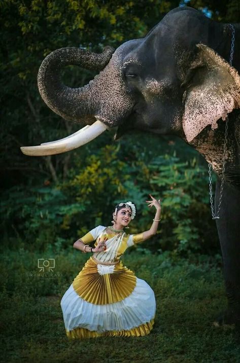 Elephants Wallpaper, Biker Logo Design, Asiatic Elephant, Elephant Photo, Indian Classical Dancer, Bharatanatyam Poses, Dance Of India, Elephant Photography, Kerala Travel