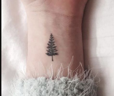 Eastern White Pine Tree Tattoo, Small Evergreen Tree Tattoo, Red Rising Tattoo Ideas, Bristlecone Pine Tattoo, Simple Pine Tree Tattoo, Ponderosa Pine Tattoo, Pine Tree Tattoos For Women, Mountain Tree Tattoo, Pine Tree Tattoo Designs