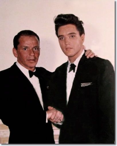 Elvis Presley Facts, Dolores Hart, Elvis Presley Songs, Rockabilly Music, Elvis Presley Graceland, Elvis Art, Nancy Sinatra, Rat Pack, Elvis Presley Photos