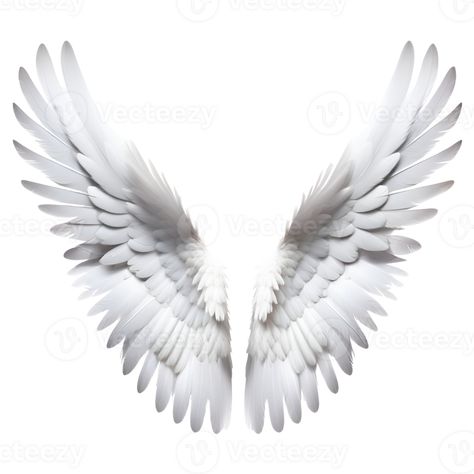 White Wings Isolated on Transparent Background. AI Generative Wings Png, Bird Wings, White Wings, Tree Saw, Heart Tree, Logo Banners, Cityscape Photos, Nature Backgrounds, Heart With Arrow