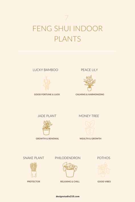 feng shui indoor plants Feng Shui Bedroom Plants, What Is Feng Shui, Feng Shui Aesthetic, Feng Shui Studio Apartment, Feng Shui Hallway, Feng Shui Bedroom Decoration, Feng Shui Indoor Plants, Feng Shui Bedroom Decor, Feng Shui Money Corner