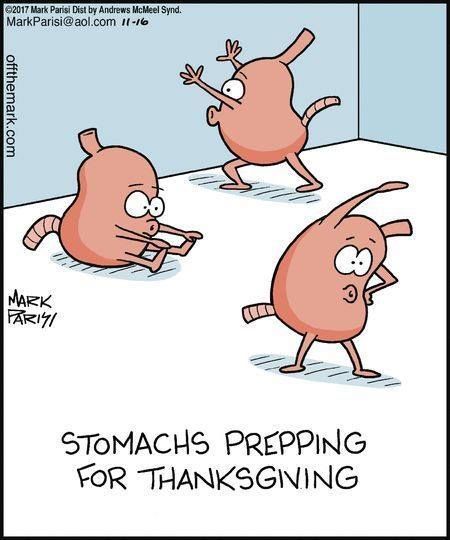 These stomachs have the right idea - make time to exercise on Thanksgiving. Maybe go for a walk in the morning or after you've enjoyed your feast. You won't regret it!  https://ift.tt/2oMxaaW Thanksgiving Funnies, Thanksgiving Cartoons, Chiropractor Humor, Turkey Jokes, Thanksgiving Meme, Mark Parisi, Thanksgiving Jokes, Holiday Jokes, Off The Mark