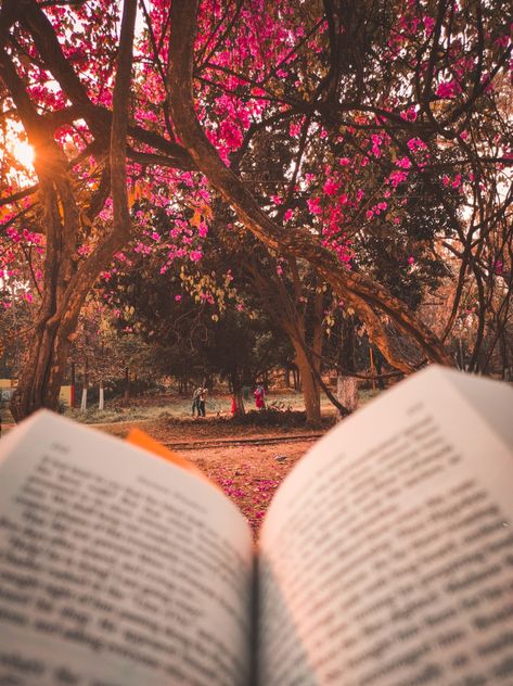 Spring Reading Aesthetic Wallpaper, Books Outdoors Aesthetic, Book Photography Outdoor, Book Spring Aesthetic, Reading Spring Aesthetic, Reading More Aesthetic, My Bookish Aesthetic, Cute Book Pictures, Books Outside Aesthetic