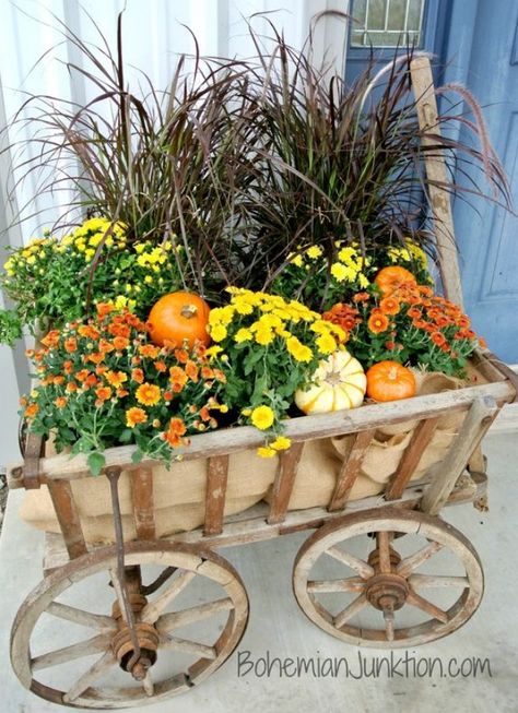 Ways to Decorate a Garden Cart or Wheelbarrow For Fall. Popular Pin Wagon Decor, Land Scaping, Fall Window Boxes, Fall Yard Decor, Fall Yard, Fall Garden Decor, Outside Fall Decor, Fall Planting, Fall Mums