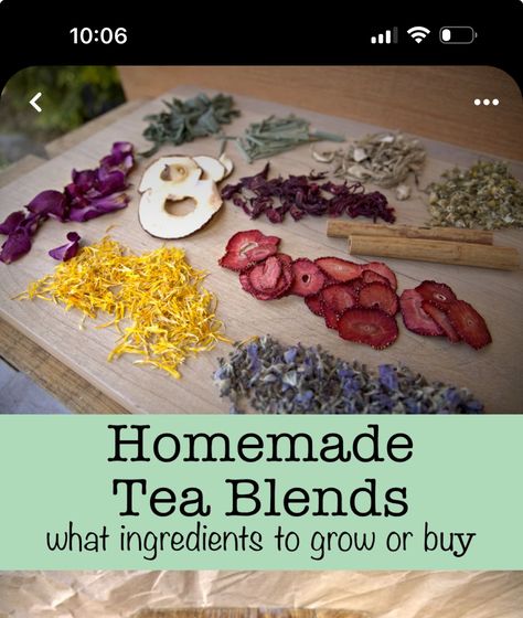 Tea Recipes Homemade, Homemade Tea Blends, Loose Tea Recipes, Tea Recipes Loose Leaf, Herbal Tea Recipes Homemade, Tea Blends Recipes, Herbal Tea Garden, Herbal Medicine Recipes, Tea Drink Recipes