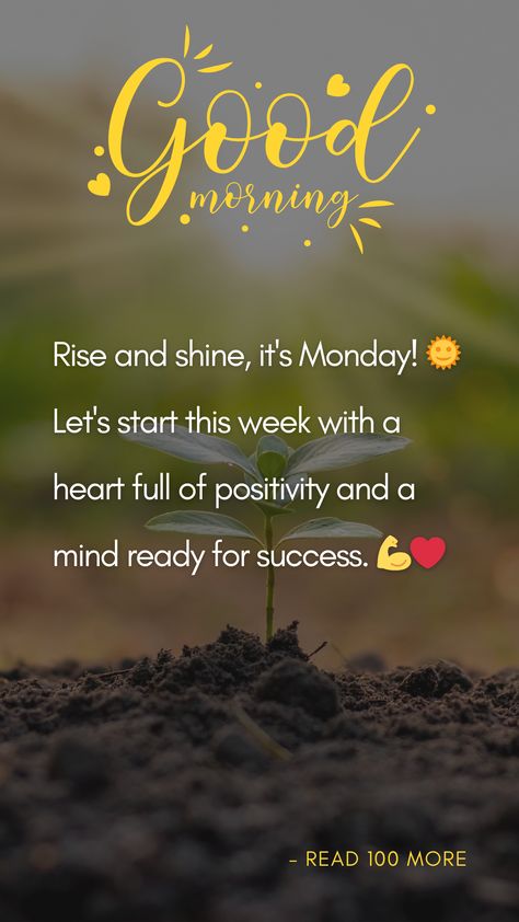 Hey everyone, good morning! Have a great Monday! It’s important to start the week on a good note when we get back to work. An encouraging letter sent to family, friends, and coworkers is one way to do that. We’re going to give you some ideas for pleasant Monday morning messages that will help you start the week off right. We have everything you need, from funny quips to heartfelt notes. Get your coffee ready, and let’s start making people happy on this Monday morning! Work Morning Quotes, Good Morning Have A Great Week, Its Monday Quotes Motivation, Happy Monday Have A Great Week, Have A Great Week Quotes, Happy Monday Morning Beautiful, Good Morning Monday Have A Great Week, Monday Quotes Motivational, Good Monday Morning Quotes