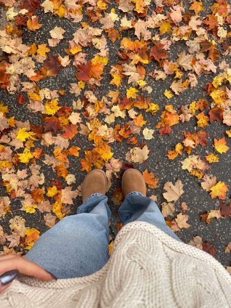 Fall Aesthetic Widget Pics, Romanticizing Fall, Seasons Aesthetic, Fall Widgets, Fall Szn, Studera Motivation, Fall Pics, Fall Mood Board, Fall Mood