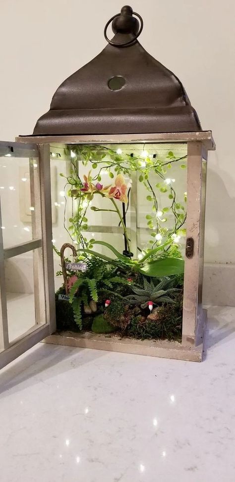 Lantern Terrarium, Terrarium Design, Koti Diy, Indoor Fairy Gardens, Fairy Lanterns, Lantern Ideas, Fairy Garden Designs, Fairy Garden Crafts, Terrarium Containers