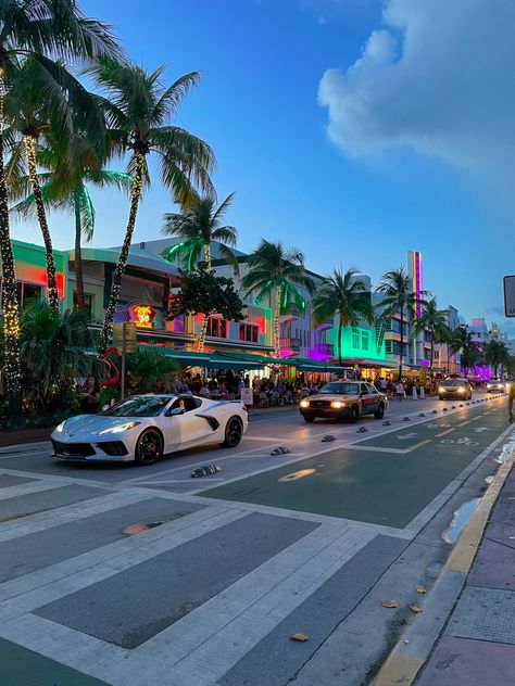 When visiting Florida, a lovely area to explore is Ocean Drive near Miami Beach. 
Tips: bring your own bike or rent one of the citybike to enjoy a good ride on that street. Miami Fl Aesthetic, Miami Asthetic Picture, Miami Travel Aesthetic, Rich Miami Aesthetic, Miami Vision Board, Miami College Aesthetic, Maimi Aesthetic, Miami Vacation Aesthetic, Living In Miami