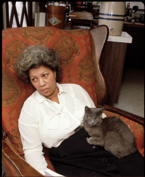 Celebrities With Cats, Toni Morrison, Women Writers, Vintage Black Glamour, Black Femininity, Upstate Ny, Rock Legends, Cat Sleeping, Cat Person