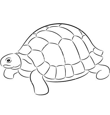 Tortoise on VectorStock Tortoise Mosaic Pattern, Tortoise Coloring Page, Tortoise Drawings, Cute Tortoise Drawing, Tortoise Art, Tortoise Drawing, Turtle Sketch, Tortoise Tattoo, Turtle Coloring