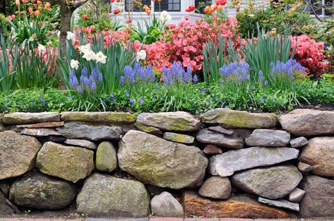 15 Beautiful Garden Wall Ideas for Your Landscape | Tilly Design Rock Garden Border, Patio Step, Trailer Deck, Shaded Garden, Stone Walls Garden, Garden Rock Border, Stone Fence, Rock Walls, Patio Benches