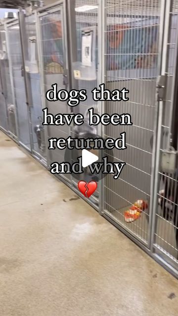 West Valley Animal Shelter on Instagram: ".
.
.
.
We want to find great matches and ideal homes for each pet. 
But it’s absolutely devastating to see them being walked up to the return door. 
Can you imagine how heartbreaking it is to walk them back into the building? Let alone back into their shelter kennel? 

They are confused. They are heartbroken. And we absolutely hate it. 
Come heal some broken hearts by adopting ❤️‍🩹 
PS. Yogi is now our longest stay at 160+ days." Dog Shelter Ideas, Dog Rescue Facility, Dog Shelters, Rescue Dogs For Adoption, Dog Shelter, Broken Hearts, Puppy Adoption, Baby Puppies