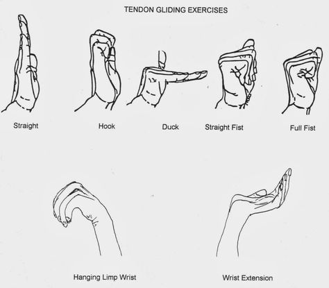 World of occupational therapy: Nerve and Tendon Gliding Exercise Hand Therapy Exercises, Carpal Tunnel Exercises, Ulnar Nerve, Occupational Therapy Assistant, Therapy Exercises, Wrist Exercises, Occupational Therapy Activities, Physical Therapy Exercises, Hand Exercises