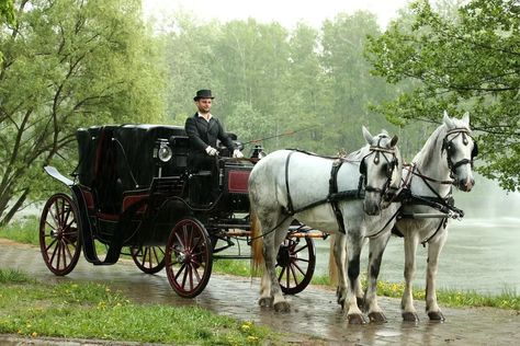 Lady Susan, Wedding Stage Backdrop, Carriage Driving, Horse And Buggy, Stage Backdrop, Horse Carriage, Bedroom Bed Design, Perspective Drawing, Wedding Stage