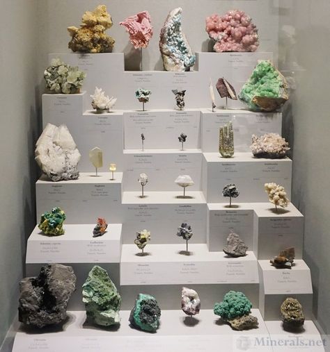 Mineral Collection Display, Rock Collection Storage, Crystal Collection Display, Rock Collection Display, Museum Display Cases, Future Decor, Crystal Room Decor, National Museum Of Natural History, Stone Display