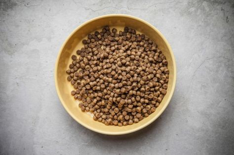 Dog Kibble Recipe, Dog Kibble, Low Protein Dog Food, Hypoallergenic Dog Food, Make Dog Food, Grain Free Dog Food, Food Dog, Dog Food Brands, Healthy Dog Food Recipes