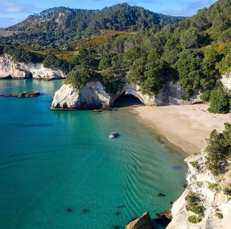 Cathedral Cove New Zealand, Cathedral Cove, New Zealand Landscape, Painting Reference, Dream Trip, Matte Painting, Filming Locations, Reference Images, Nature Aesthetic