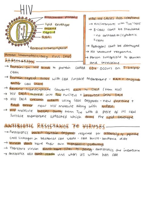 Alevel Biology, Cell Biology Notes, Speech Therapy Activities Elementary, Notes Biology, Biochemistry Notes, Biology Revision, Study Chemistry, Study Biology, Nurse Study Notes