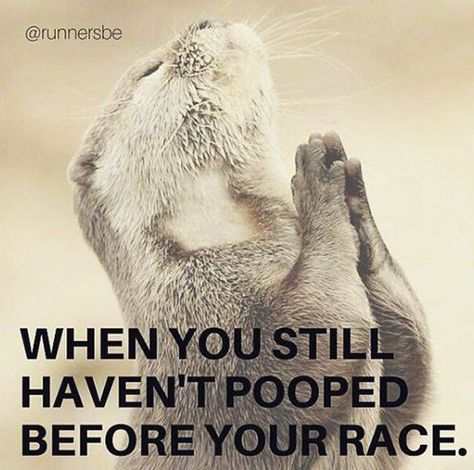 Running Humor #184: When you still haven't pooped before your race. - running, humor Running Quotes Funny, Race Running, Running Memes, I Love To Run, Cross Country Running, Running Humor, Running Quotes, Runner Girl, Running Inspiration