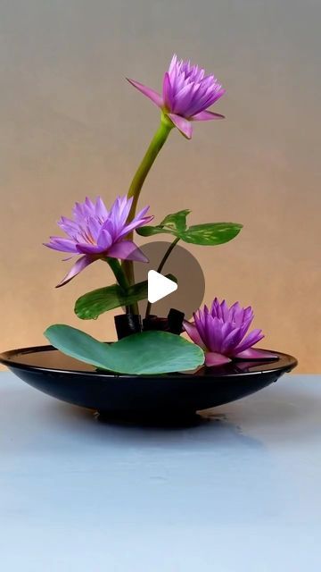 Water Lily Arrangement, Exotic Flower Arrangements, Flower Arrangements For Home, Point Of Life, Luxury Flower Arrangement, Water Lily Flower, Ganpati Decoration At Home, Luxury Love, Furniture Architecture