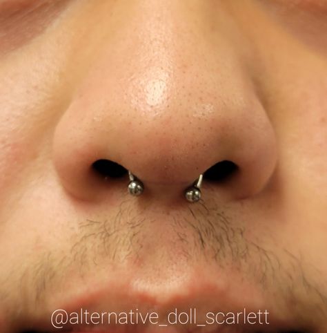 Septum piercing done with a titanium internally threaded circular barbell Circular Barbell, Septum Piercing, Septum Ring, Piercings, Nose Ring