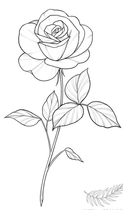 Drawing Roses, Vine Drawing, How To Draw Flowers, Rose Stencil, Minimalist Tattoo Ideas, Easy Flower Drawings, Flower Pattern Drawing, Pyrography Patterns, Simple Hand Embroidery Patterns