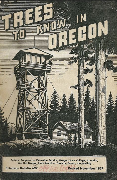 Oregon Trees, The Oregon Trail, Lookout Tower, Arte Peculiar, Central Oregon, Oregon State, Online Diary, Comfort And Joy, Vintage Poster Art