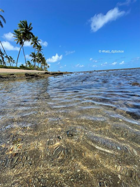 Praia do forte e piscina natural! Natureza 🙏🏻🙏🏻☀️ Water, Praia Do Forte