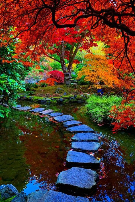 The Butchart Gardens in November with vibrant red and orange foliage Queens Garden Party, Butchart Gardens, Luxury Travel Destinations, City Garden, Garden City, Fall Foliage, In November, Luxury Travel, British Columbia