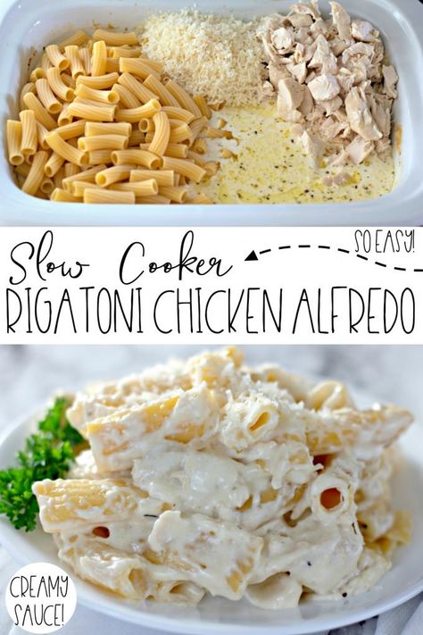 Slow Cooker Rigatoni, Crock Pot Chicken Alfredo, Creamy Sauce For Chicken, Crockpot Chicken Alfredo, Slow Cooker Pasta Recipes, Crockpot Chicken And Noodles, Rigatoni Recipes, Pasta Creamy, Recipe Slow Cooker