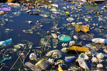 Free Vector | Water pollution with plastic bags in river Pollution Pictures, تلوث المياه, Pencemaran Udara, Marine Pollution, Nature Projects, Ocean Pollution, Contaminated Water, World Water Day, La Pollution