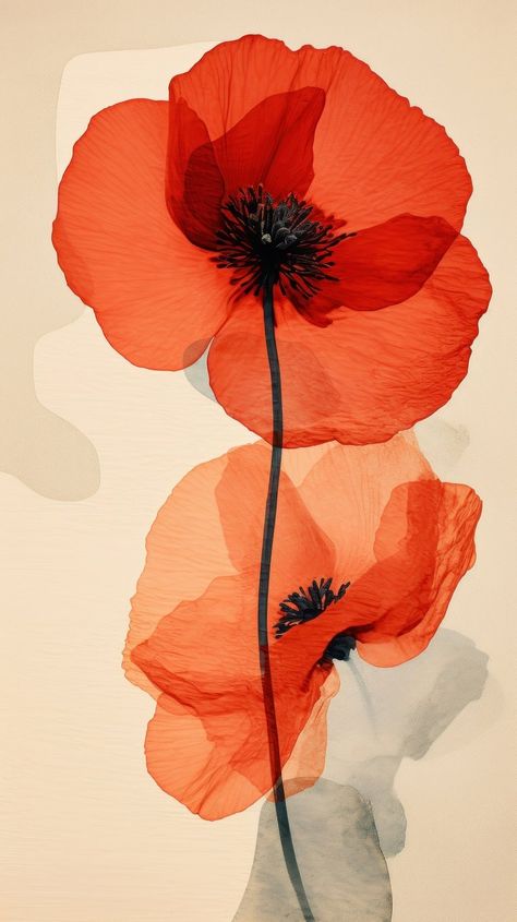 Save Poppy Background, Yoga Wallpaper, Abstract Poppies, Poppy Wallpaper, Collage Images, Learn Watercolor Painting, About Rose, Beautiful Scenery Photography, Owl Wallpaper