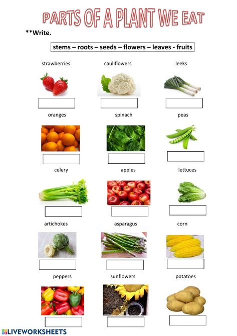 Edible Parts Of A Plant, Plant Parts We Eat Worksheet, Food We Eat Worksheet For Grade 1, Evs Worksheet For Class 1 Food, Uses Of Plants Worksheet, Food Worksheet, Apple Science, Plant Lessons, Grade 3 Science