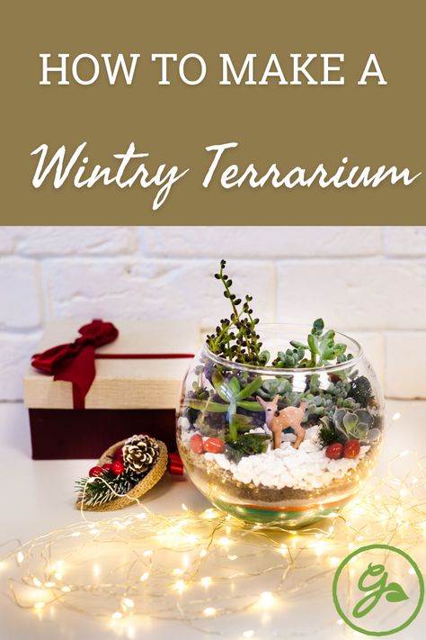 A winter scene terrarium or Christmas terrarium ornaments with live plants make pleasing, long-lasting gifts, especially if a gardener is on your list. Read on for more. Christmas Terrarium Ideas, Diy Christmas Terrarium, Winter Terrarium, Terrarium Christmas Ideas, Diy Terrarium Ideas, Gnome Terrarium, Christmas Terrariums, Mini Christmas Terrariums, Xmas Terrarium