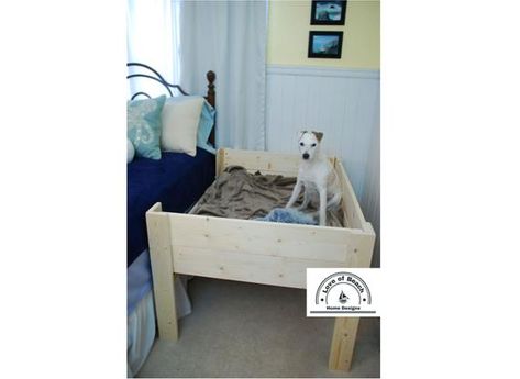 Wood Raised Elevated Dog Bed Platform with Raised Sides Daybed Dog Bed Platform, Diy Raised Dog Bed, Diy Elevated Dog Bed, Diy Wood Desk, Wood Dog Bed, Raised Dog Beds, Wooden Dog Bed, Elevated Dog Bed, Side Bed