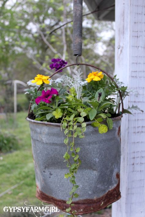 GypsyFarmGirl: A Bottomless Rusty Flower Bucket Flowers Bucket, Old Bucket, House Flowers, Bucket Planters, Hanging Flower Baskets, Garden Area, Old Metal, Flower Bucket, Have Inspiration