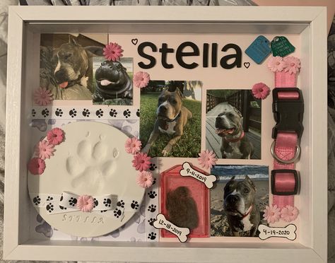 Shadowbox For Dog Pet Memorials, Pet Photo Album Ideas, Cat Shadow Box Ideas, Pet Memorial Keepsake, Pet Keepsake Ideas Diy, Memory Shadow Box Ideas Diy, Pet Shadow Box Ideas, Ways To Remember Your Dog, Memorial Dog Ideas