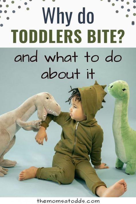 Kindergarten Day, Parenting Questions, My Strength And Weakness, Toddler Schedule, Toddler Biting, Tantrums Toddler, Toddler Discipline, Terrible Twos, Teaching Toddlers