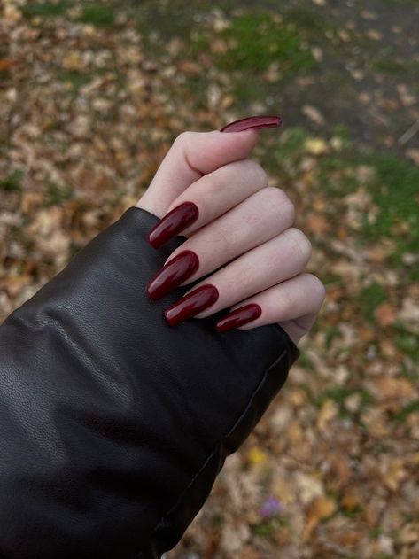 Kutek Disney, Dark Red Nails, Wine Nails, Nagel Tips, Casual Nails, Red Nail Polish, Burgundy Nails, Red Nail, Dream Nails