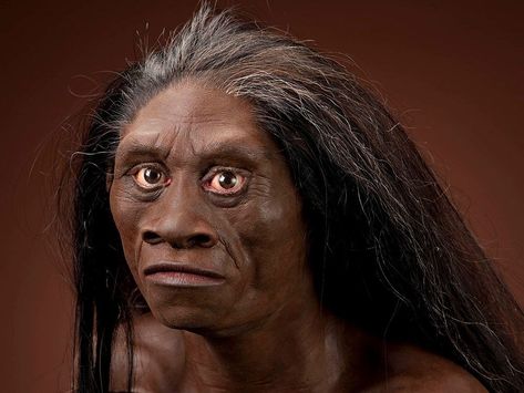 Homo Floresiensis, Homo Heidelbergensis, Prehistoric Planet, Human Genome, Human Evolution, Jaw Bone, Red Deer, Human Species, Botanical Beauty