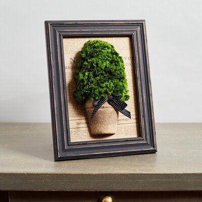 Moss Picture Frame, Mini Topiary, Cone Topiary, Easter Tabletop Decor, Moss Decor, Spring Table Decor, Summer Front Door Wreath, Moss Wall Art, Moss Garden