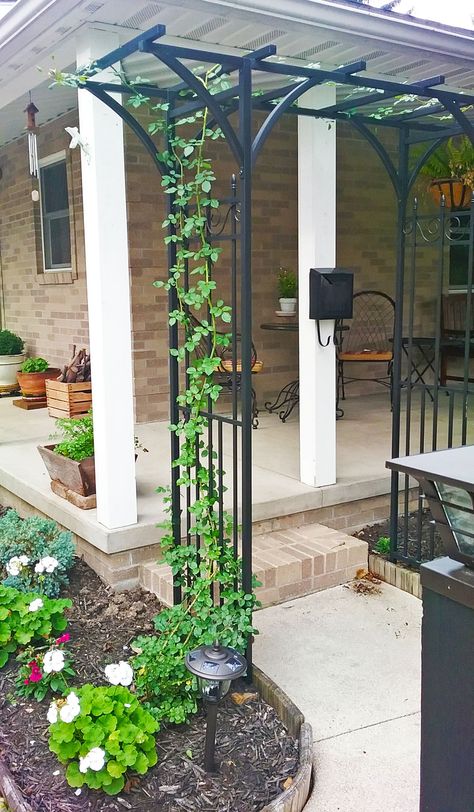 Climbing Rose Trellis Ideas, Door Trellis, Fence Landscaping Border Backyard Ideas, Gardening Design Diy, Privacy Planter, Garden Archway, Wood Aesthetic, Deck Privacy, Rose Trellis