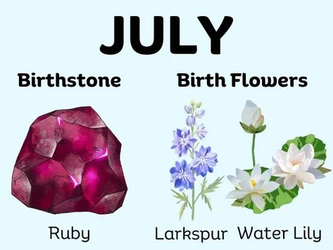 July Month Birthstone and Birth Flowers July 7th Zodiac, July Symbols, Month Personality, Month Symbols, Birth Month Personality, Birth Month Symbols, July Birth Month, People Facts, July Month