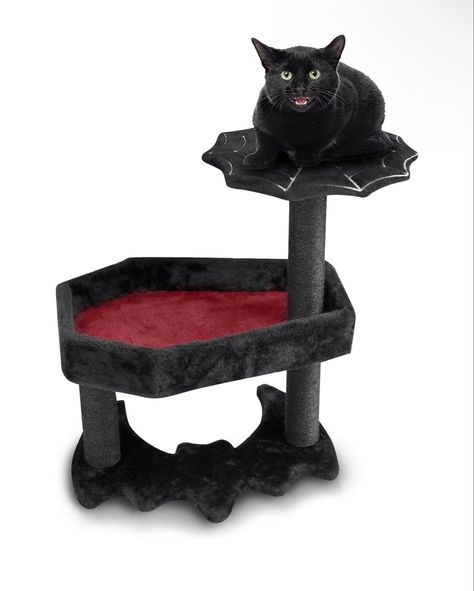 Coffin Cat Bed, Coffin Bed, Goth Cat, Gothic Cat, Gothic Coffin, Chat Halloween, Spooky Cat, Goth Home, Goth Home Decor