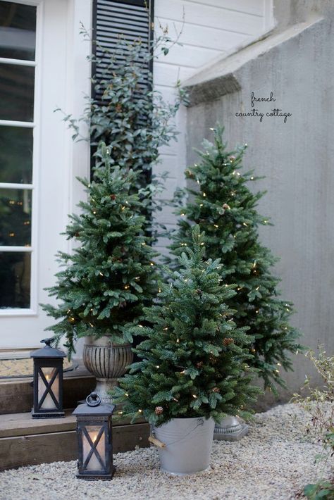 Short in stature, but high on impact, these potted trees make for the perfect outdoor accents. French Country Cottage Christmas, Natal Country, Cottage Christmas, Potted Trees, Christmas Porch, Noel Christmas, Scandinavian Christmas, Country Christmas, Christmas Deco