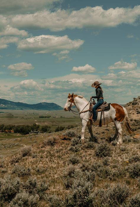 Buffalo Wyoming, Wyoming Ranch, Ranch Vacation, Cowboy Ranch, Western Photography, Guest Ranch, Western Life, Cattle Ranching, Horse Aesthetic