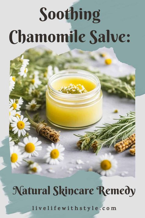 Chamomile Salve Recipe, Camomile Recipe, Chamomile Skin Benefits, Chamomile Essential Oil Benefits, Chamomile Salve, Natural Electrolyte Drink, Chamomile Recipes, Healing Salve Recipe, Natural Electrolytes