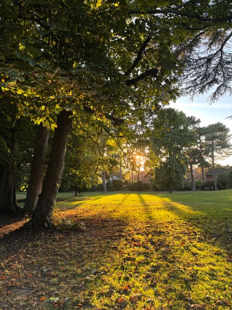 Sunset Park Aesthetic, Park Green Aesthetic, Canvas Reference, Uk Aesthetic, Collage Pieces, Green Scenery, End Of Times, Park Forest, Applied Art